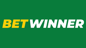 Explore the Thrills of BetWinner Gambling Platform